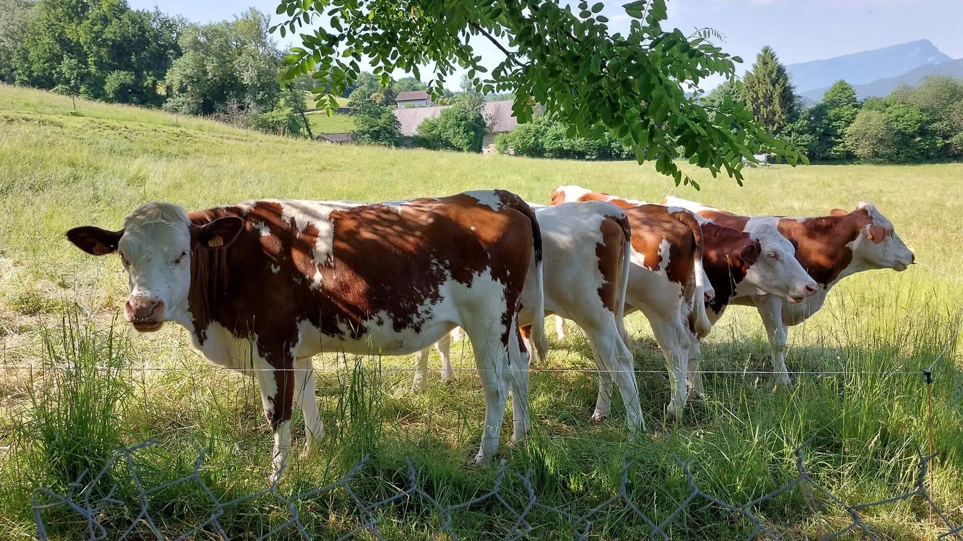 Antre Lacs Saint-Girod Bed & Breakfast
